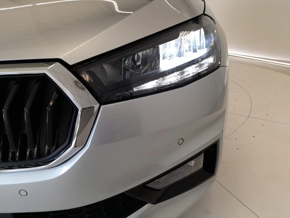 Skoda Fabia usata a Bologna (7)