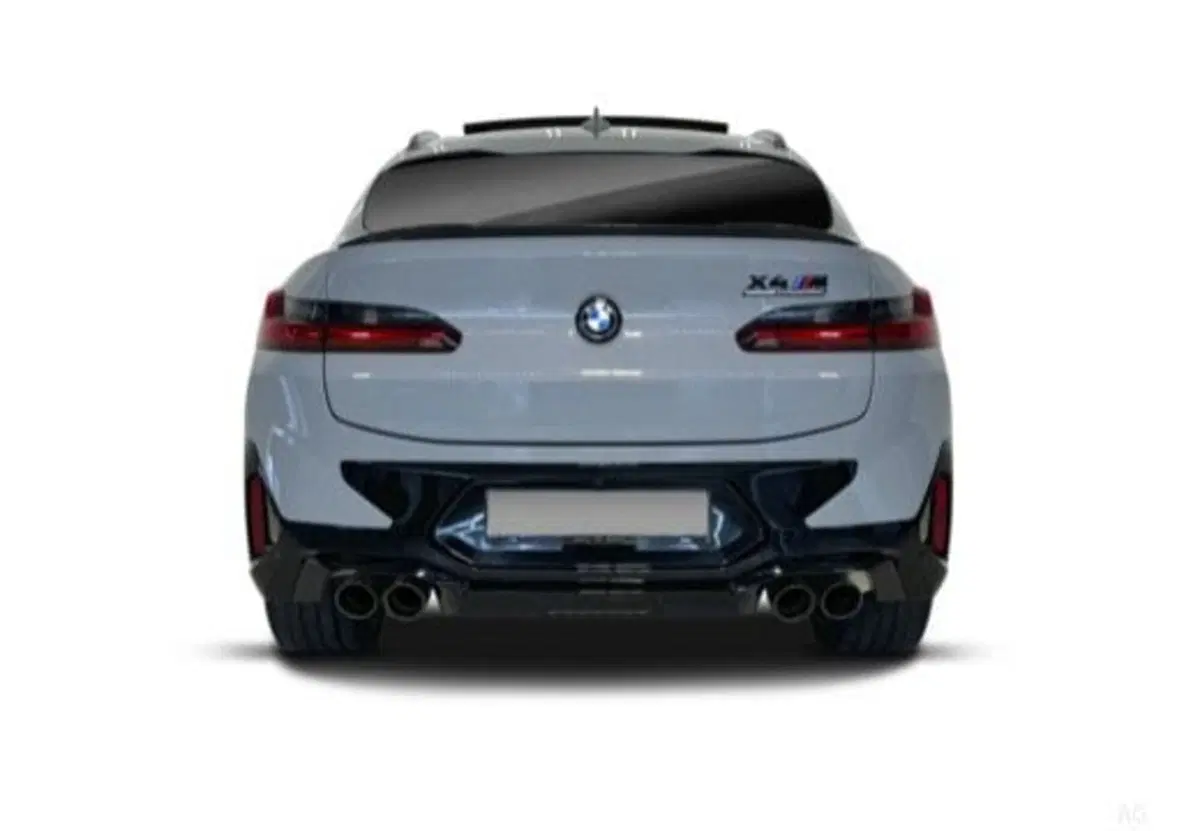 BMW X4 usata a Salerno (11)