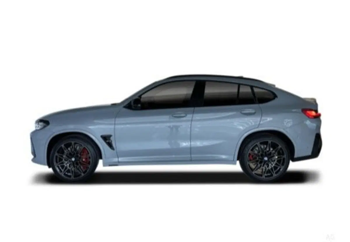 BMW X4 usata a Salerno (13)