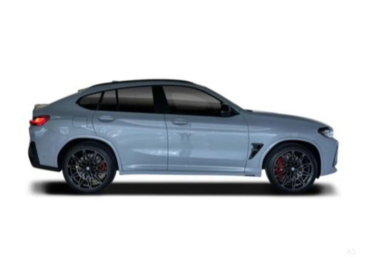 BMW X4 usata a Salerno (15)