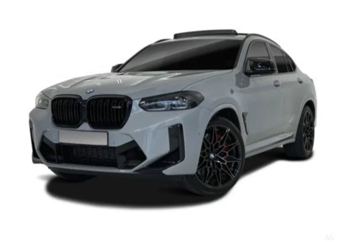 BMW X4 usata a Salerno (5)