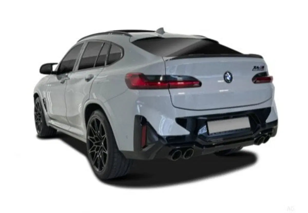 BMW X4 usata a Salerno (7)