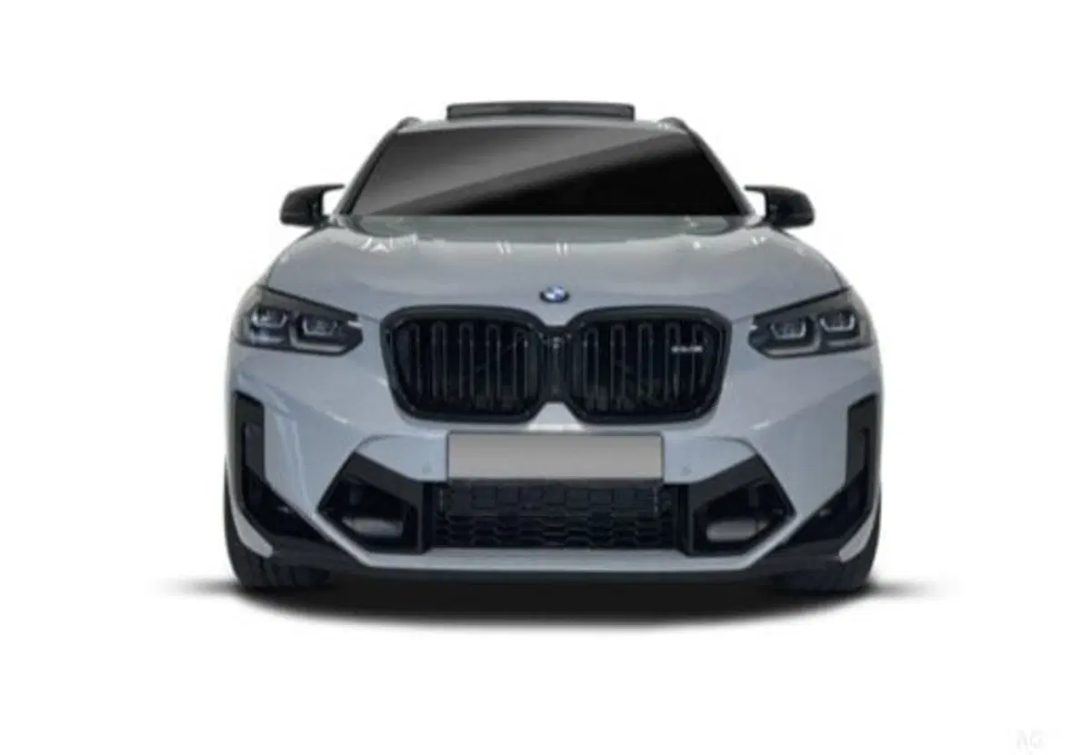 BMW X4 usata a Salerno (9)