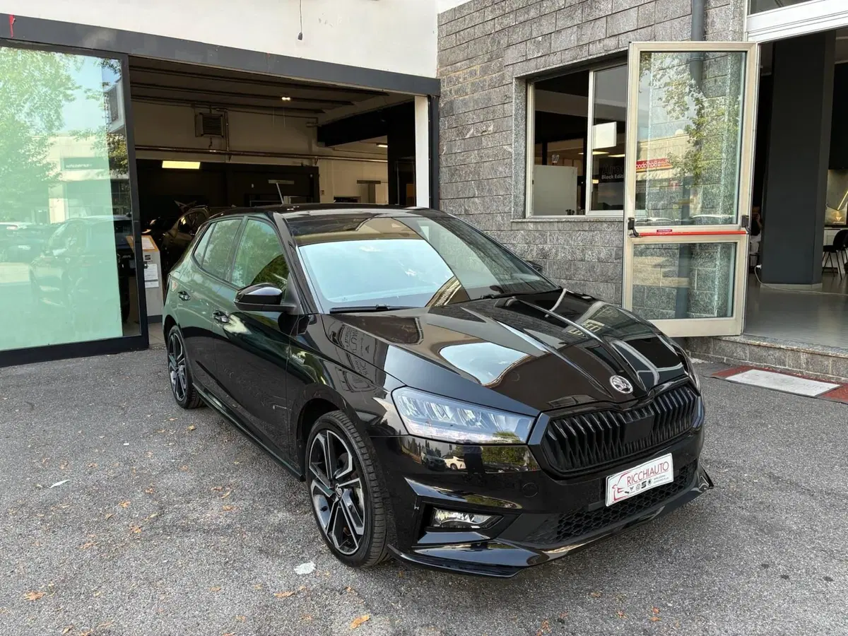 Skoda Fabia usata a Monza e Brianza