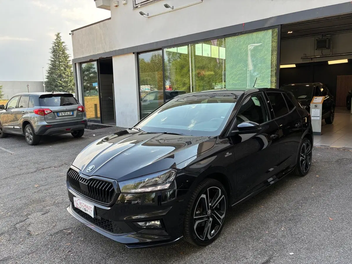 Skoda Fabia usata a Monza e Brianza (2)