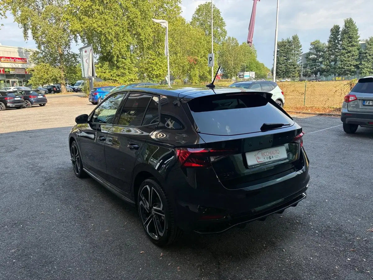 Skoda Fabia usata a Monza e Brianza (3)