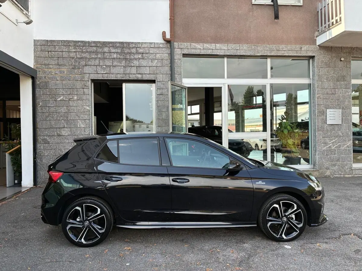 Skoda Fabia usata a Monza e Brianza (6)