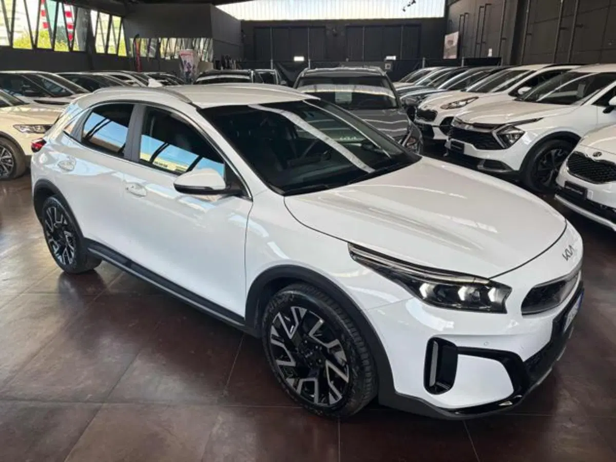 Kia XCeed usata a Pesaro-Urbino