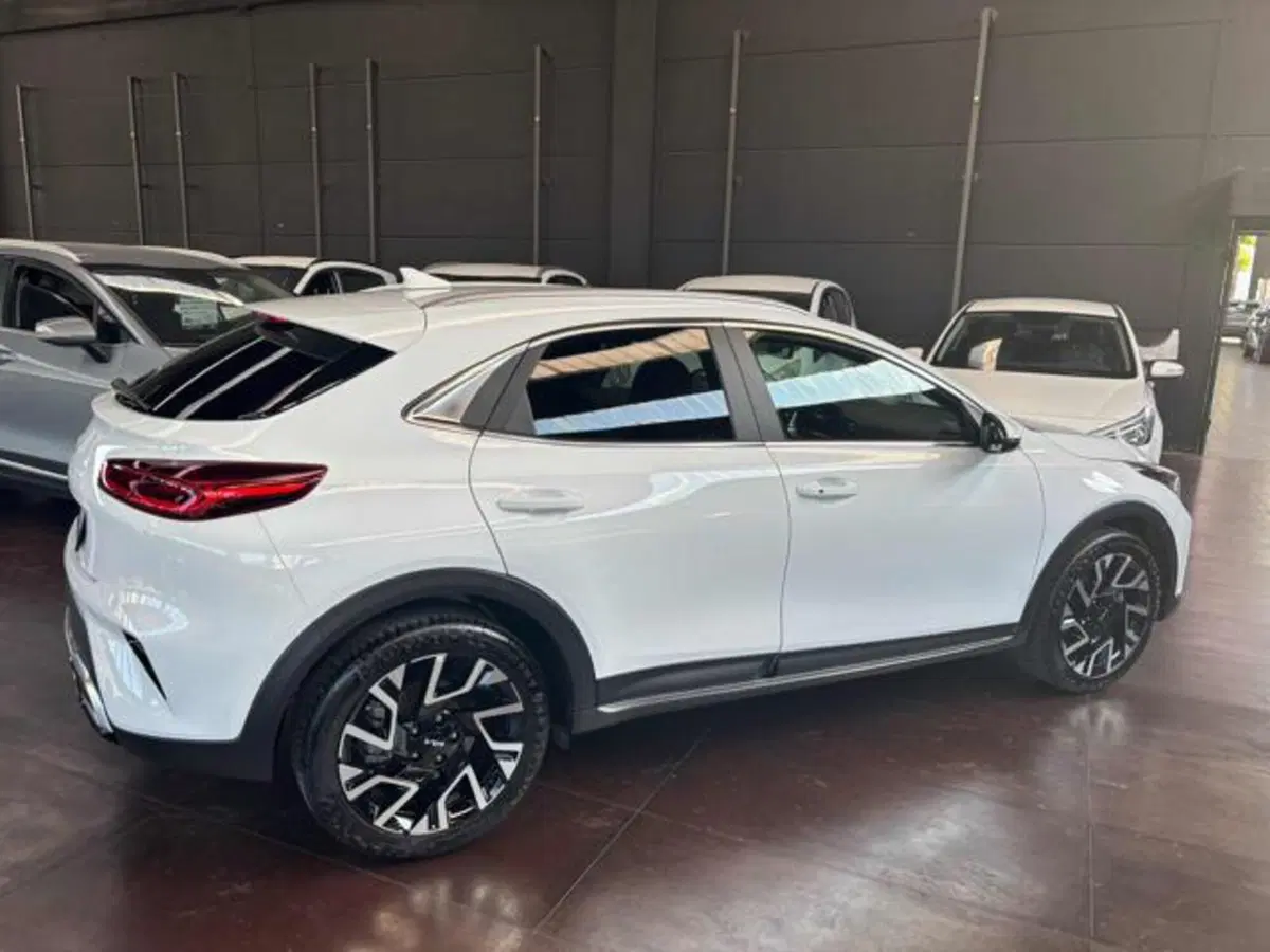 Kia XCeed usata a Pesaro-Urbino (4)