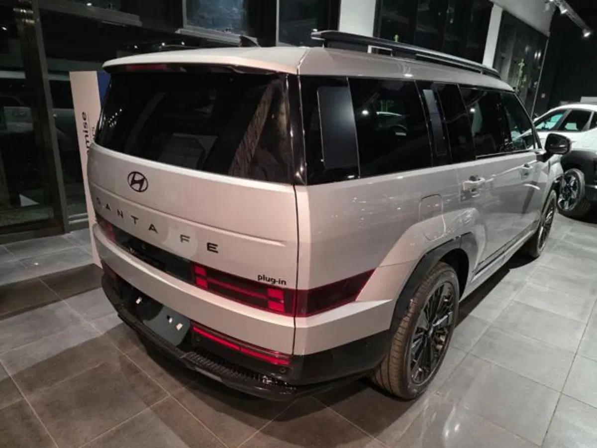 Hyundai Santa Fe nuova a Pesaro-Urbino (2)