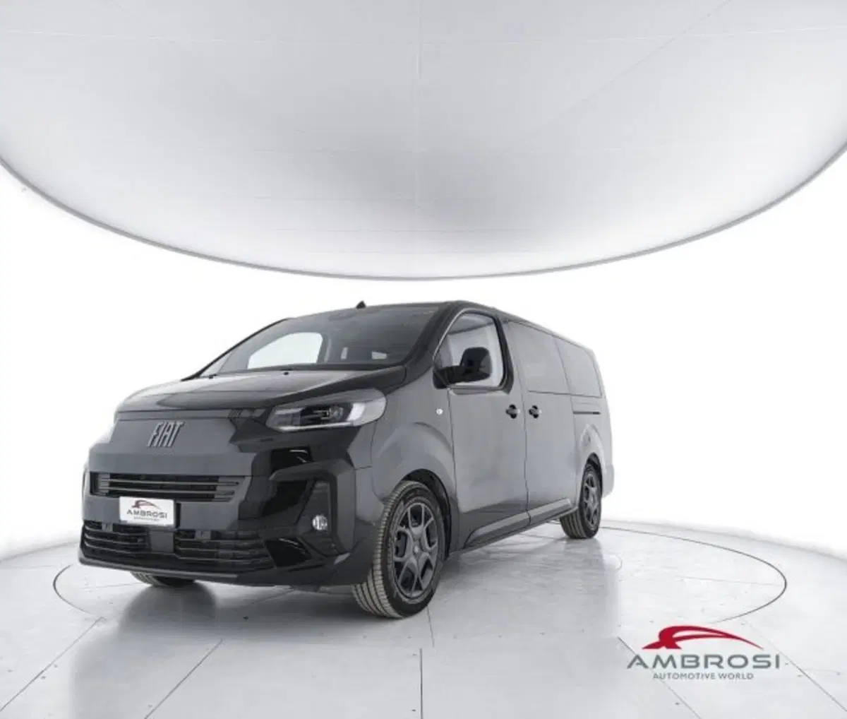 Fiat Ulysse usata a Perugia