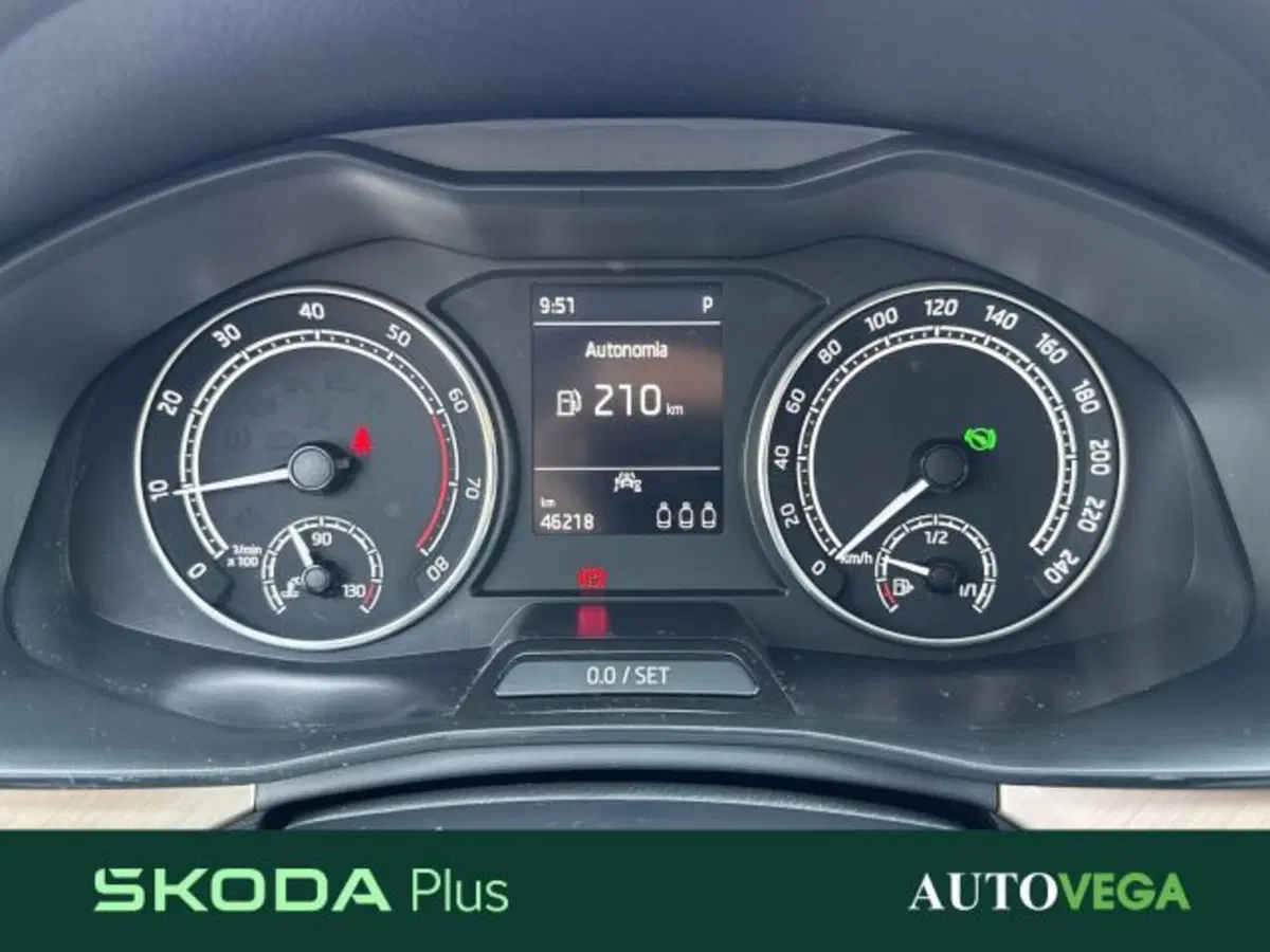 Skoda Kamiq usata a Vicenza (14)