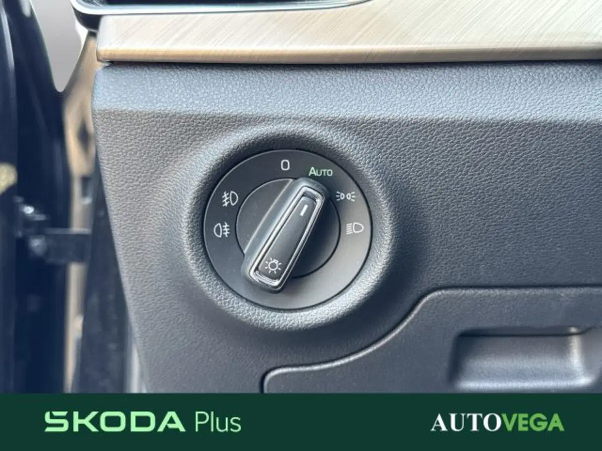 Skoda Kamiq usata a Vicenza (16)