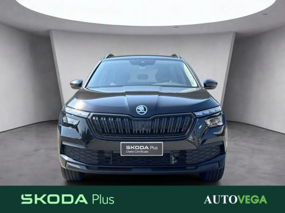 Skoda Kamiq usata a Vicenza (2)