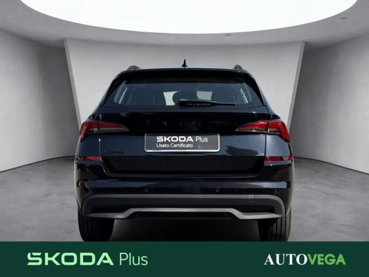 Skoda Kamiq usata a Vicenza (5)