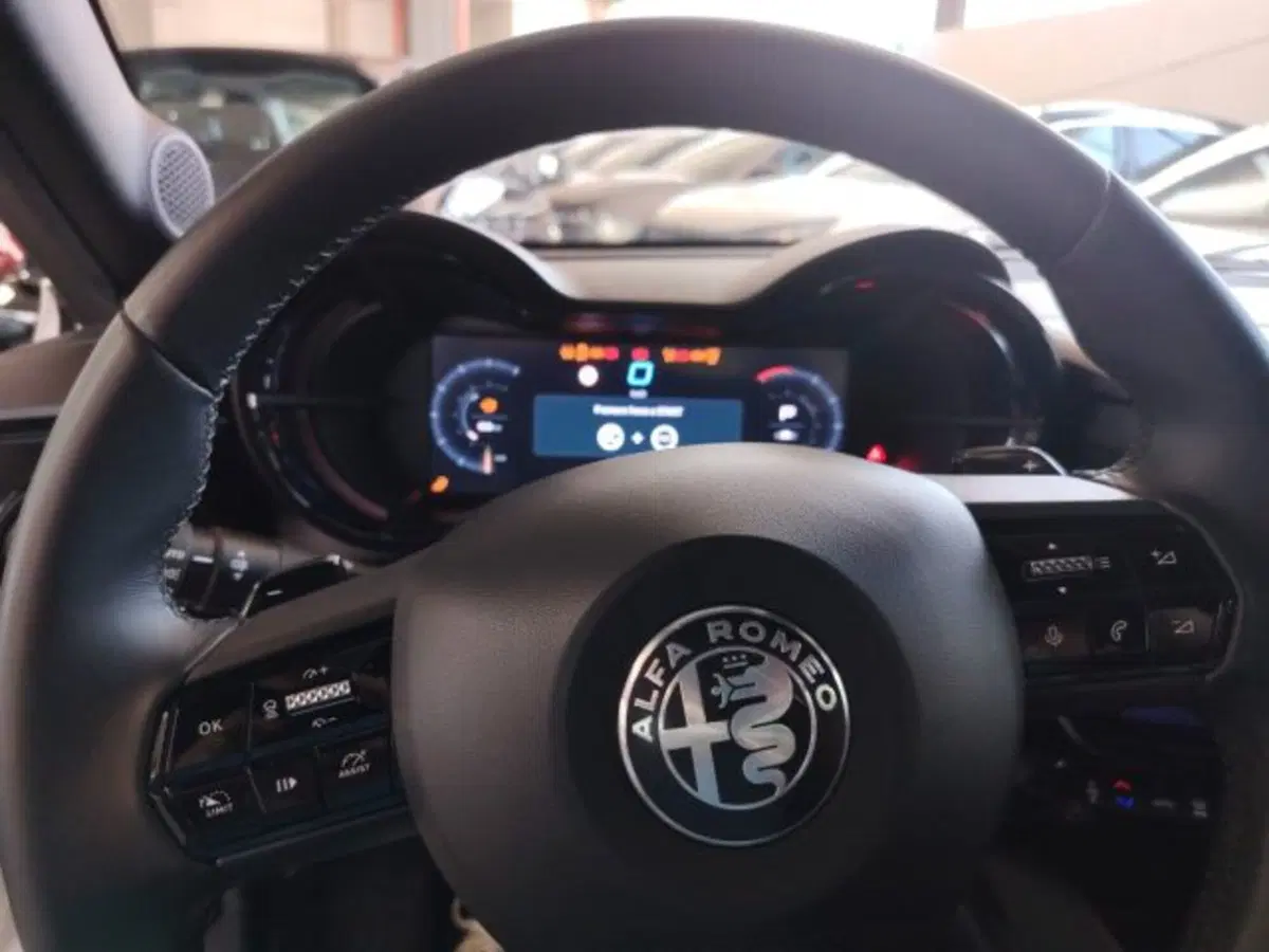 Alfa Romeo Junior usata a Forlì-Cesena (20)