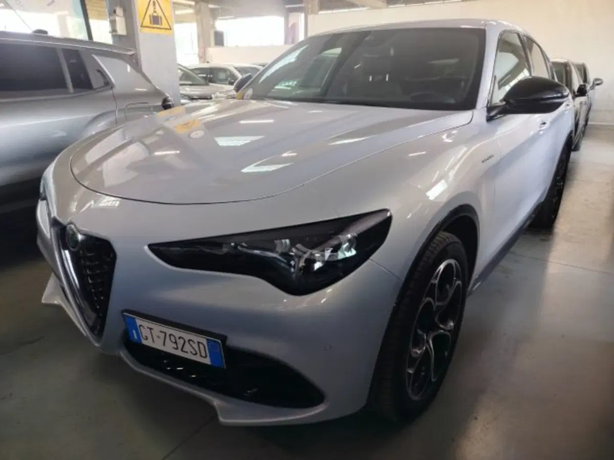 Alfa Romeo Stelvio usata a Forlì-Cesena (3)