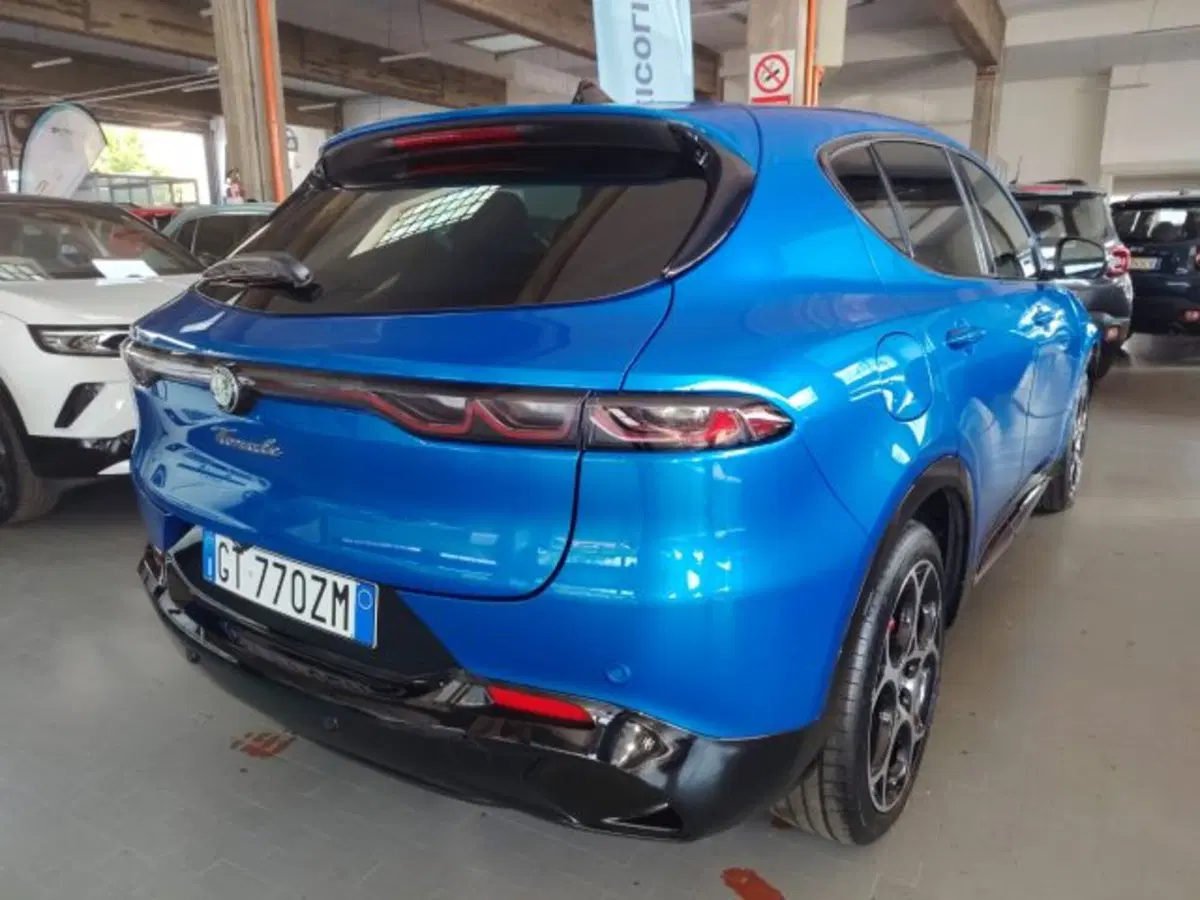 Alfa Romeo Tonale usata a Forlì-Cesena (11)