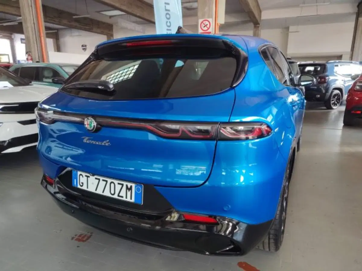 Alfa Romeo Tonale usata a Forlì-Cesena (12)