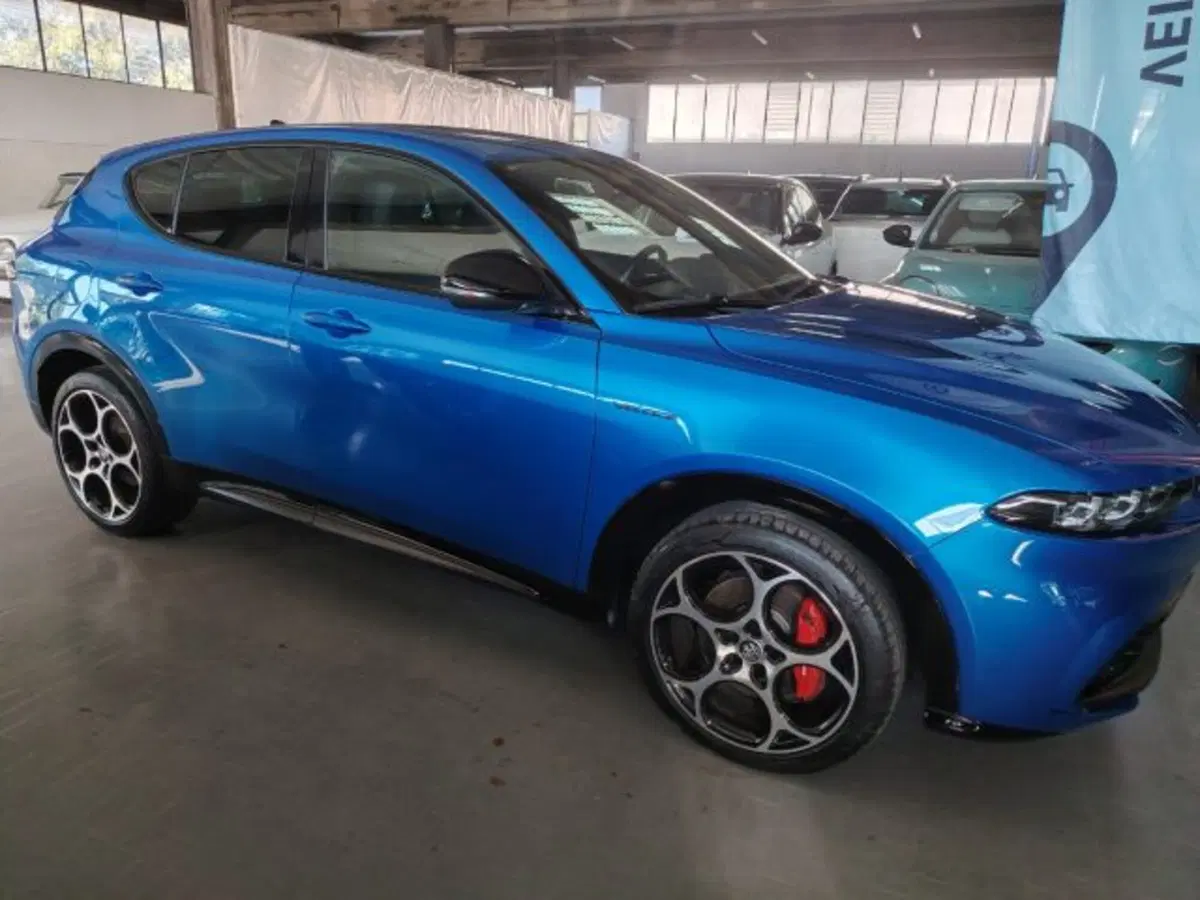 Alfa Romeo Tonale usata a Forlì-Cesena (18)