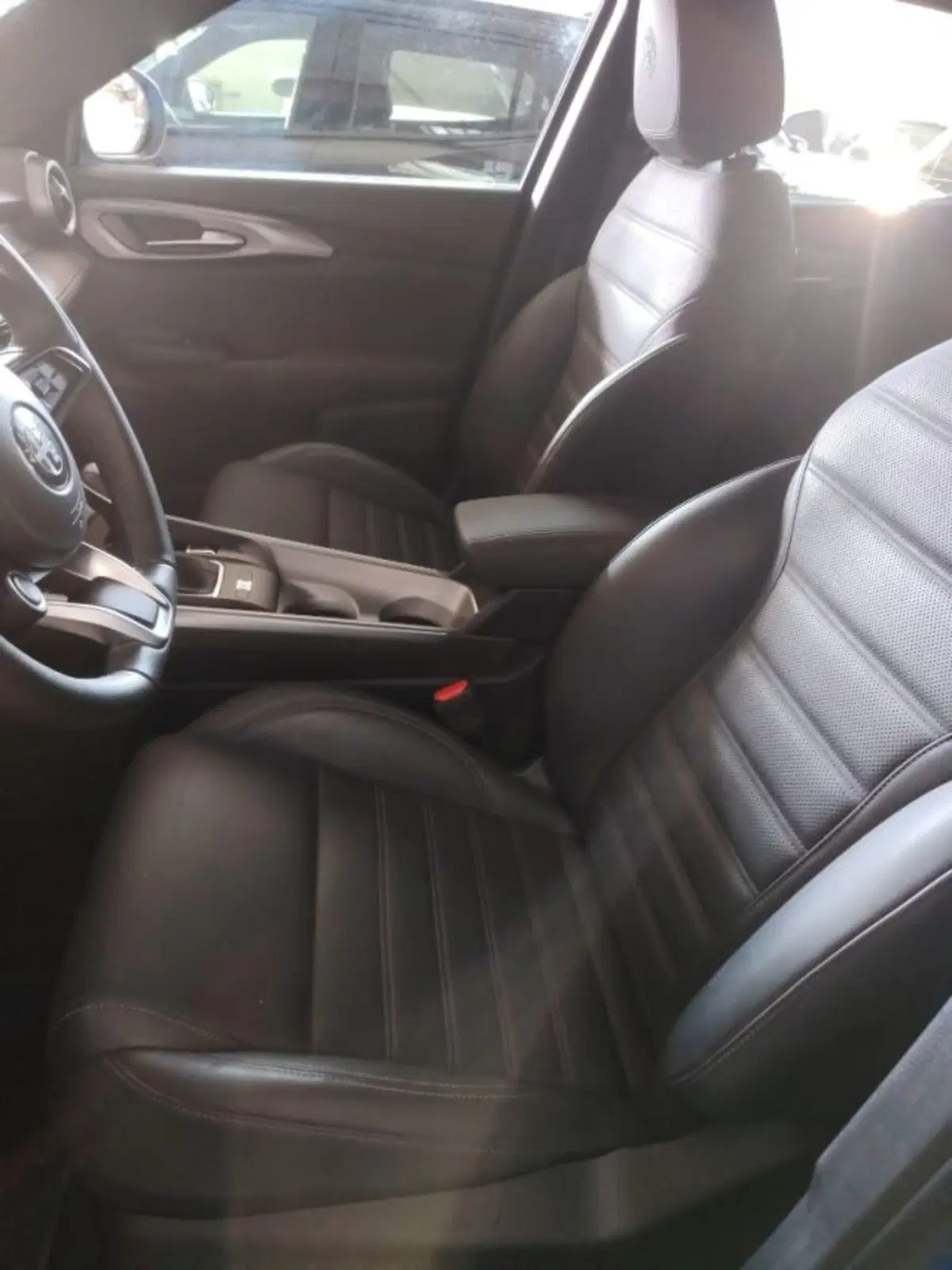 Alfa Romeo Tonale usata a Forlì-Cesena (19)
