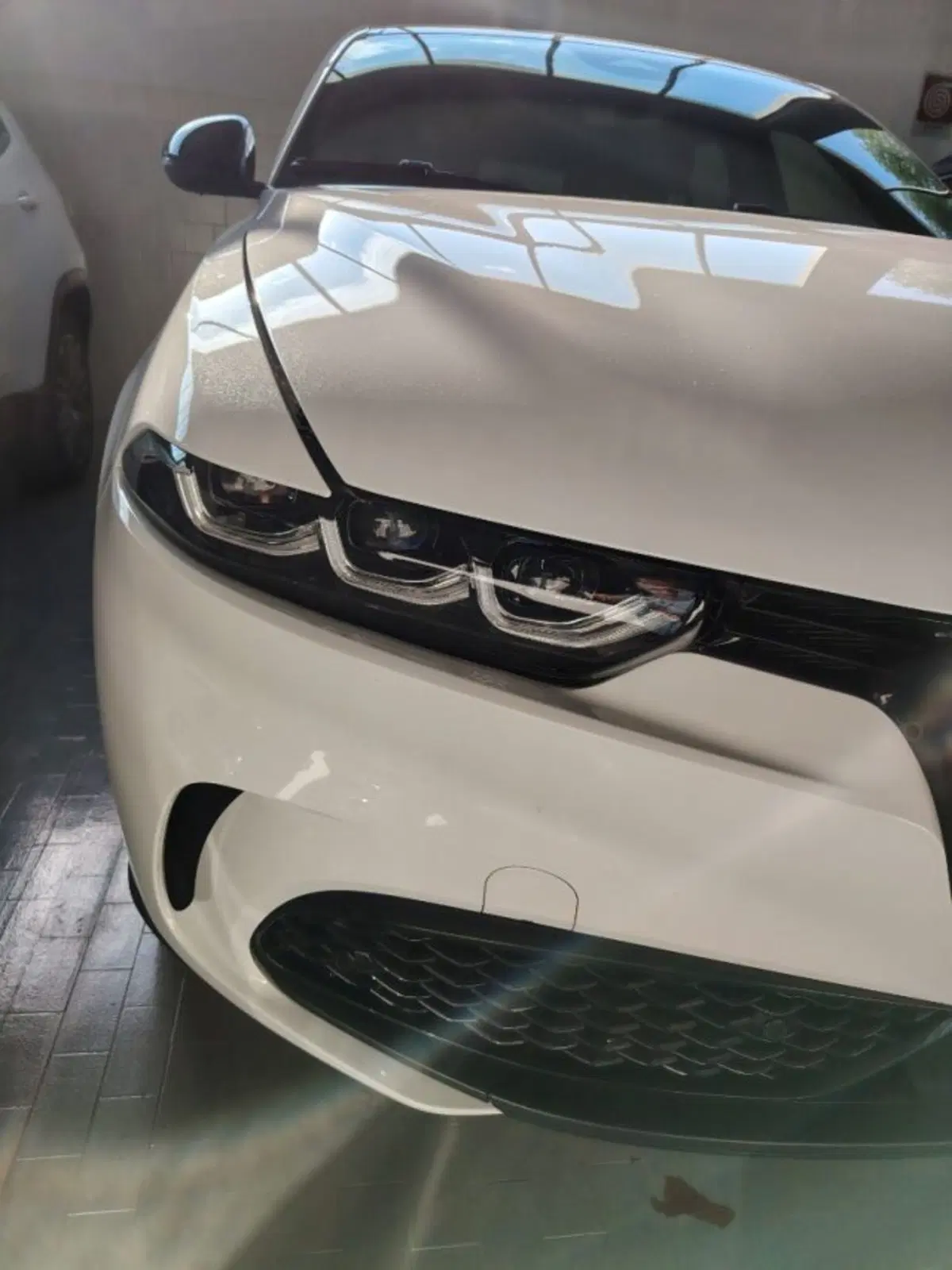 Alfa Romeo Tonale usata a Forlì-Cesena (10)