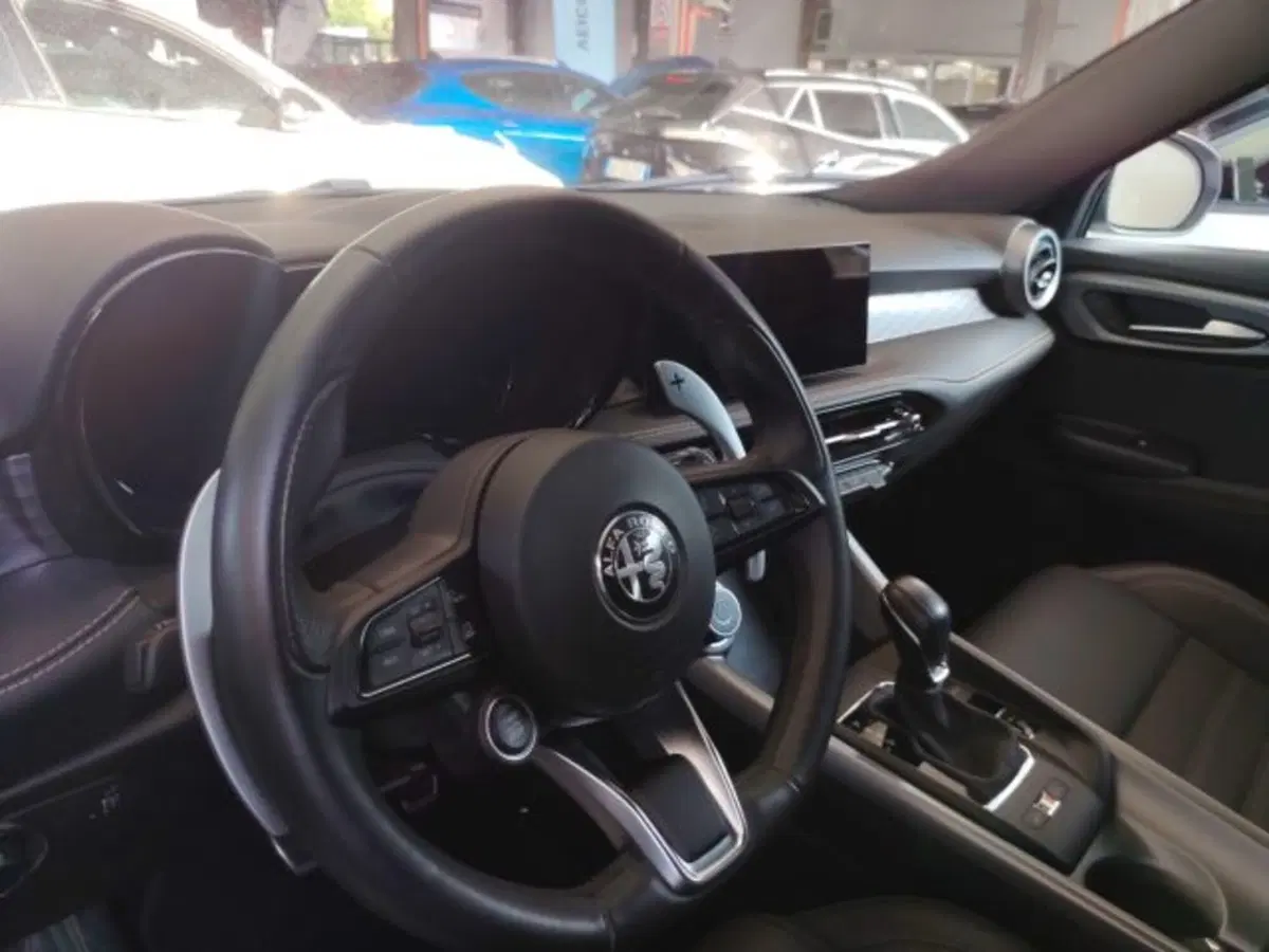 Alfa Romeo Tonale usata a Forlì-Cesena (14)