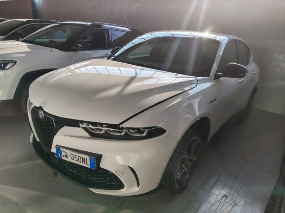 Alfa Romeo Tonale usata a Forlì-Cesena (4)