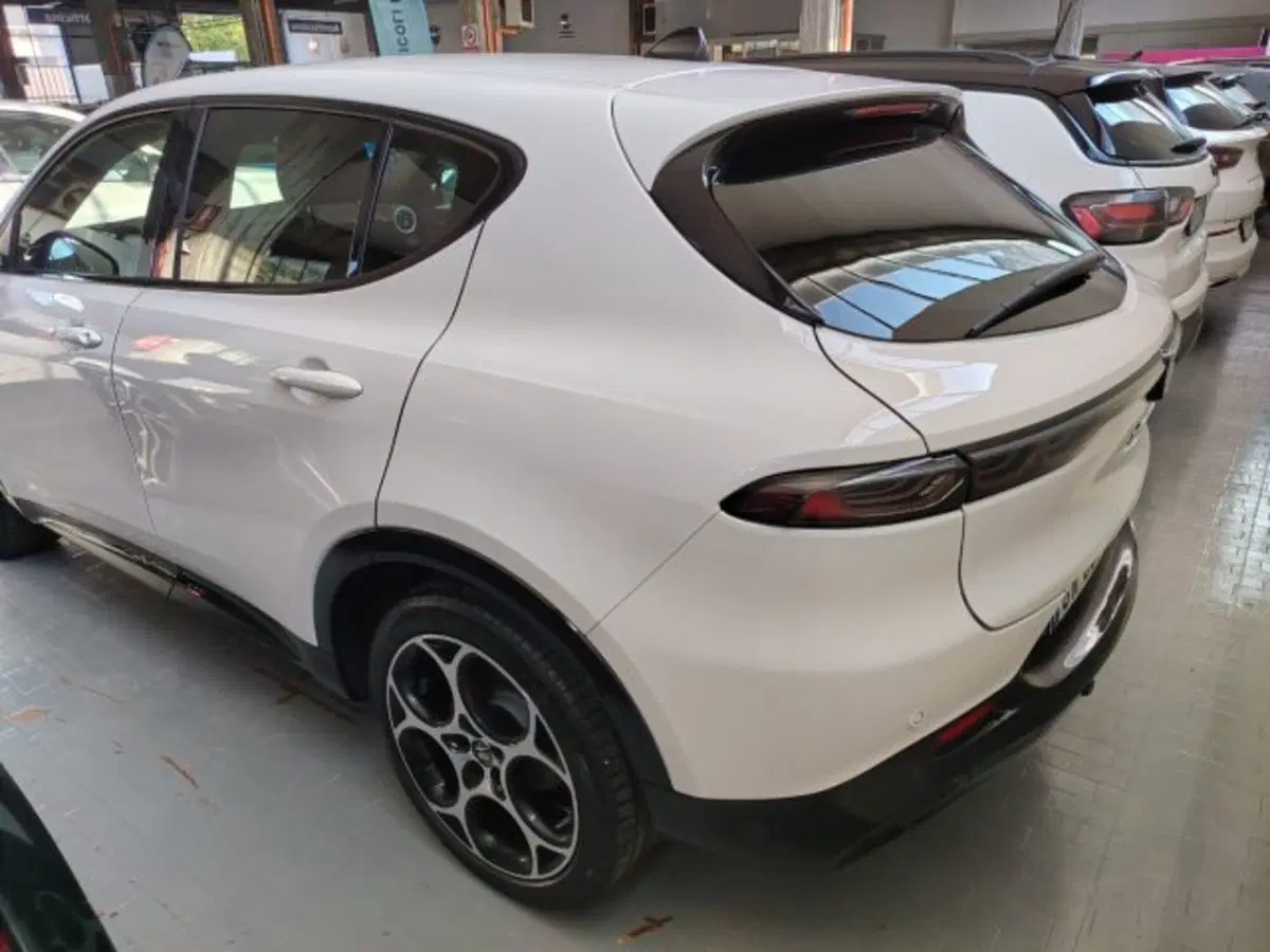 Alfa Romeo Tonale usata a Forlì-Cesena (6)