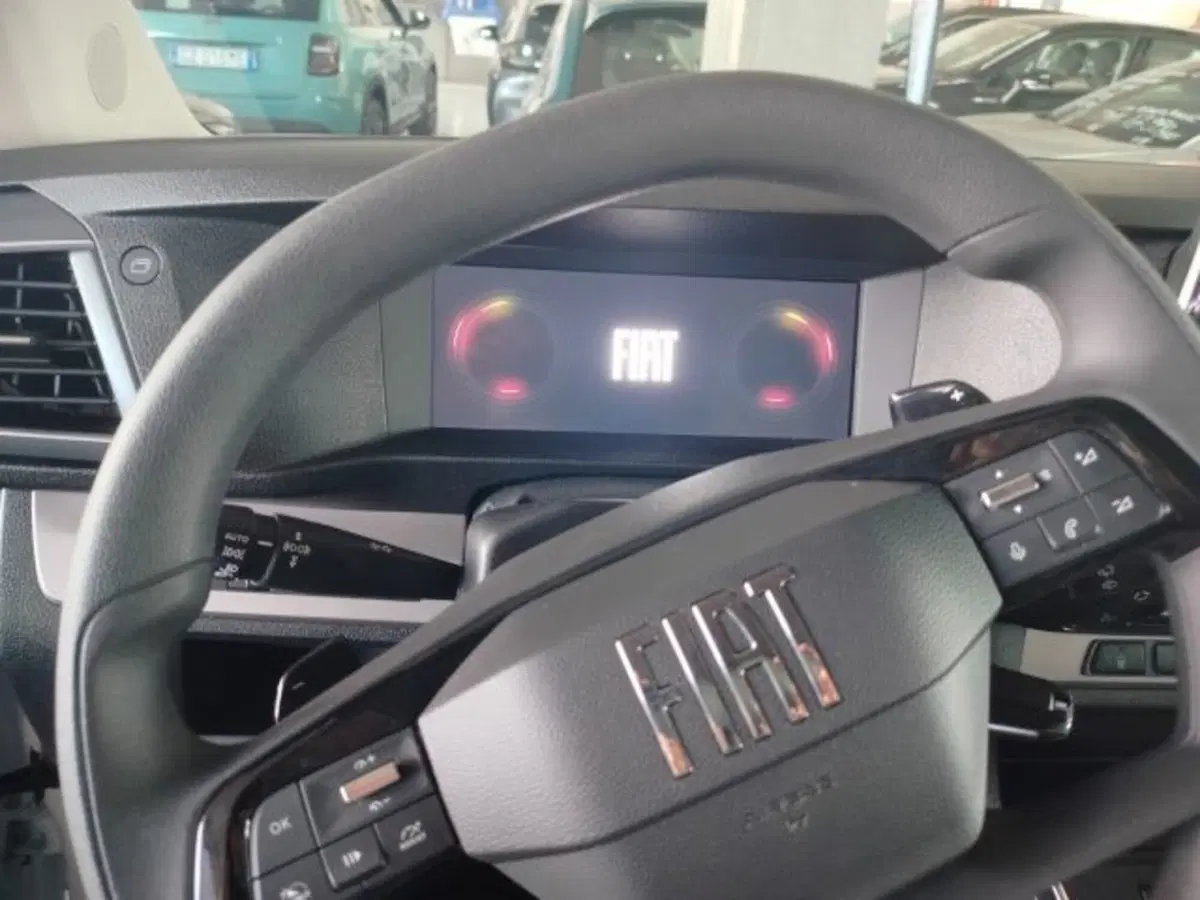 Fiat Ulysse usata a Forlì-Cesena (15)