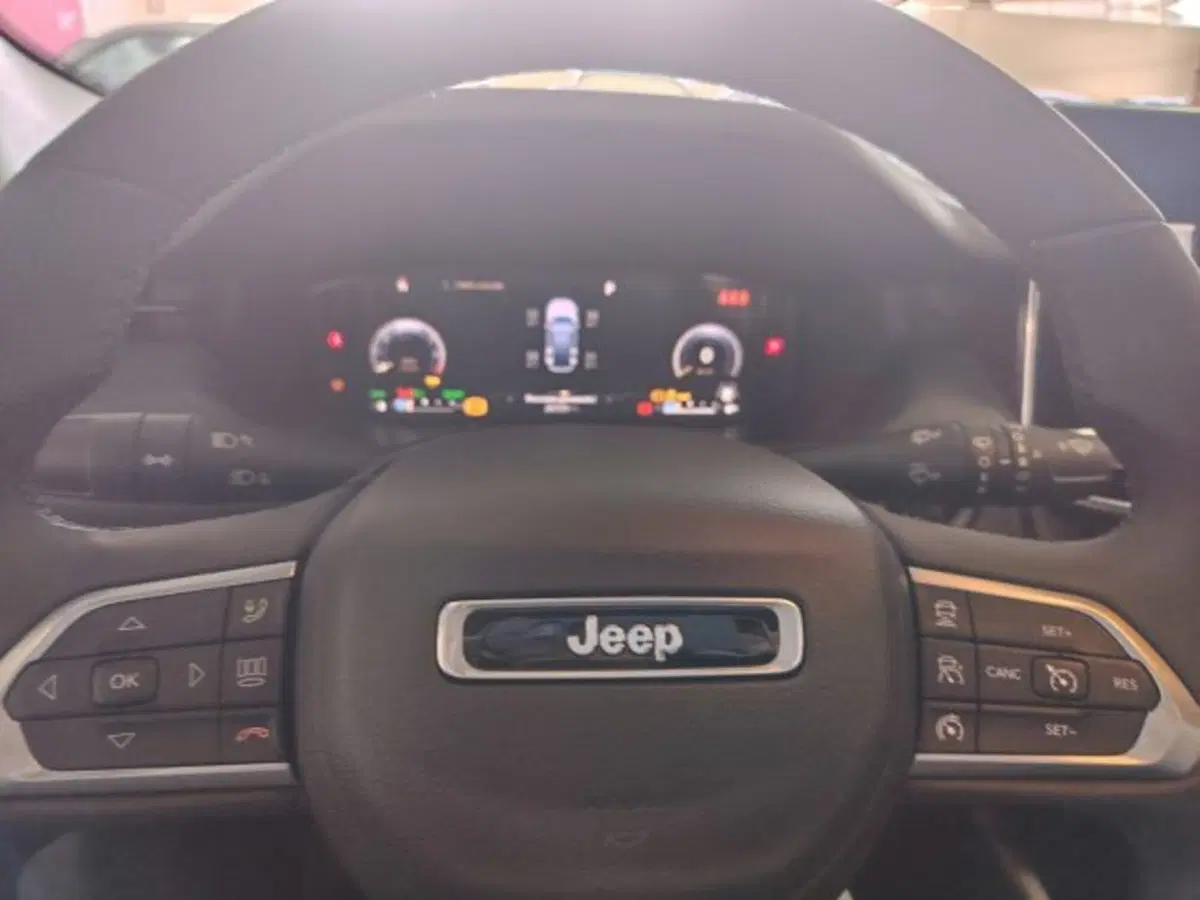 Jeep Compass usata a Forlì-Cesena (17)