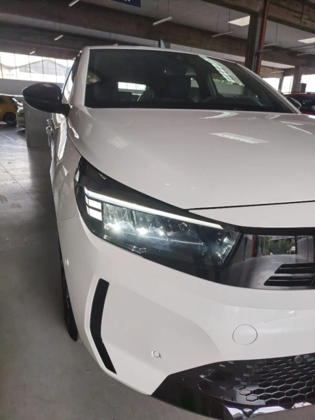 Opel Corsa usata a Forlì-Cesena (11)