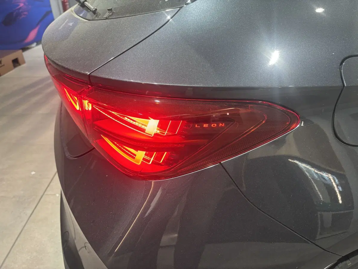 Cupra Leon nuova a Ferrara (15)