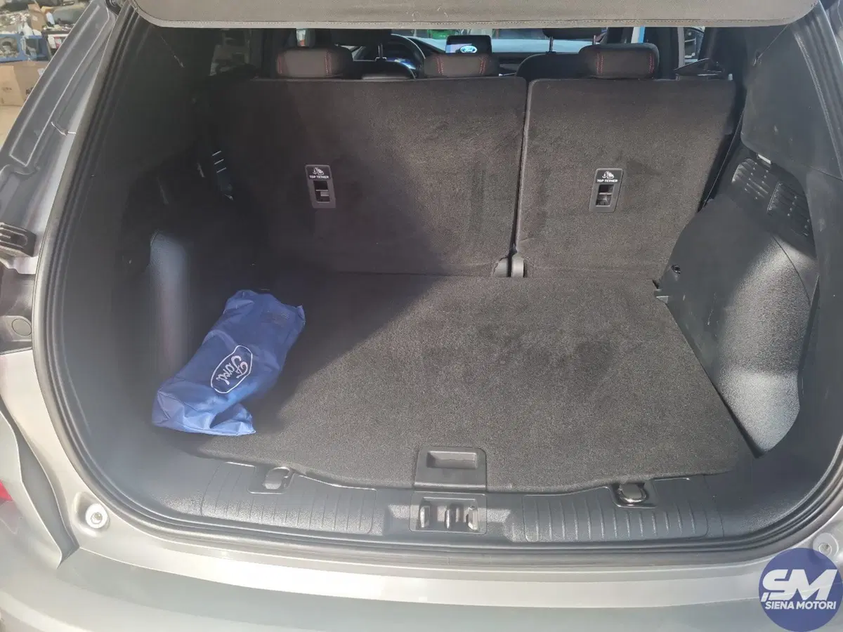 Ford Kuga usata a Siena (18)