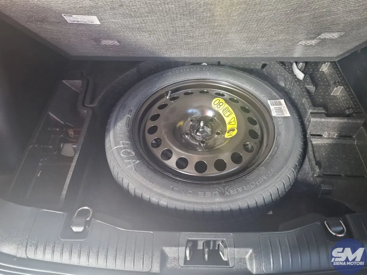 Ford Kuga usata a Siena (19)