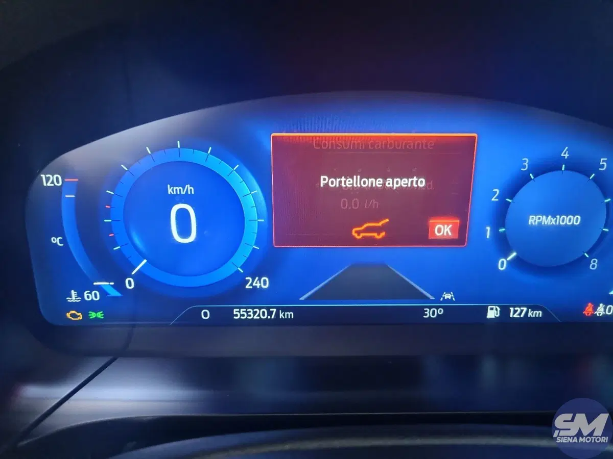 Ford Kuga usata a Siena (9)