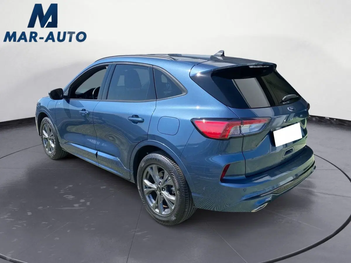 Ford Kuga usata a Treviso (2)