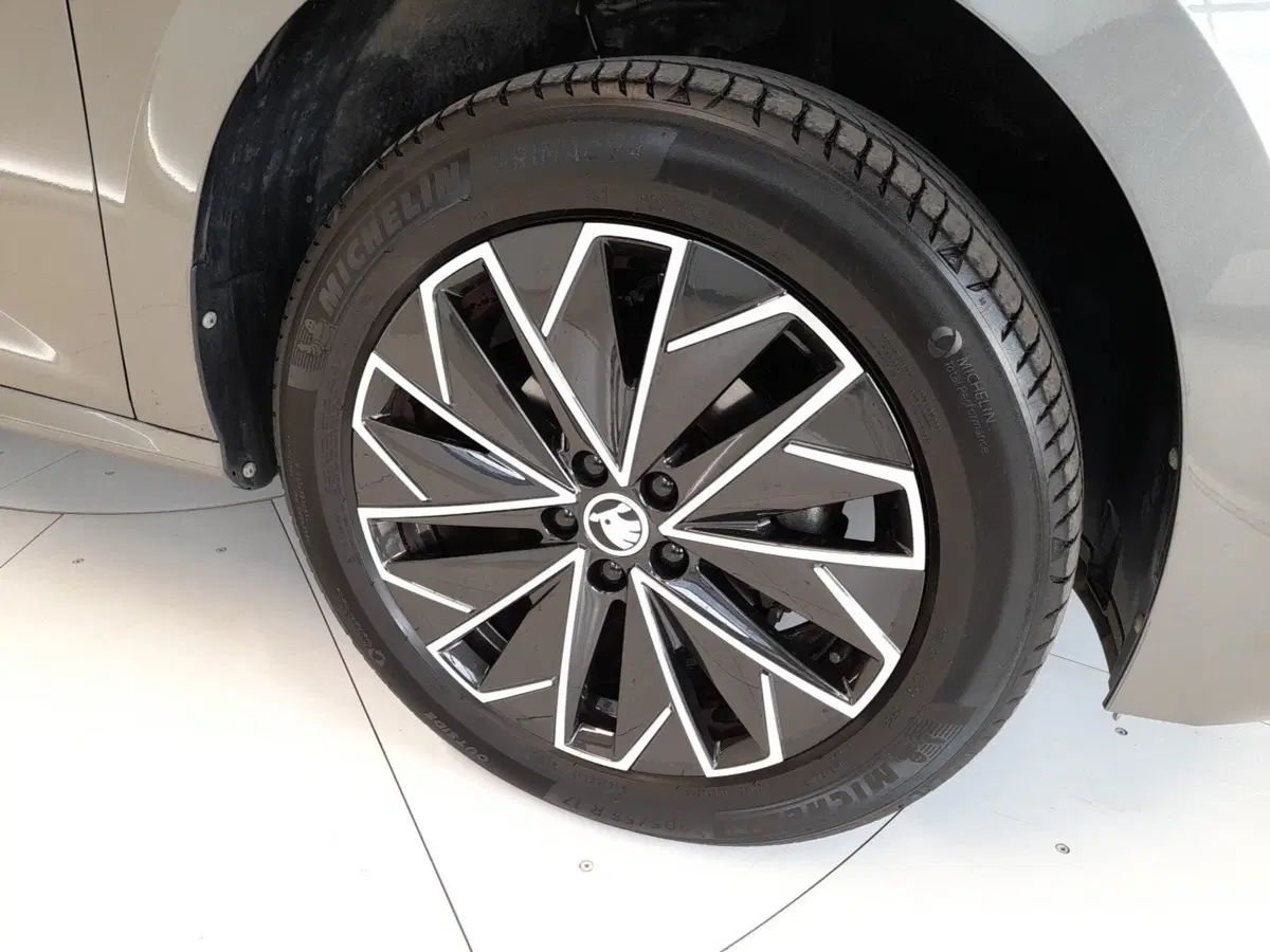 Skoda Kamiq usata a Bologna (7)