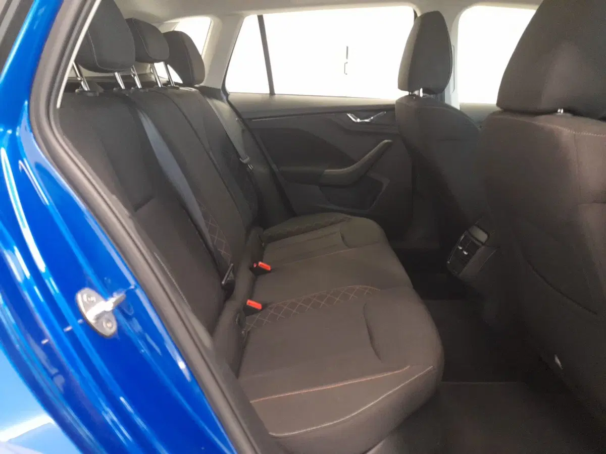 Skoda Kamiq usata a Bologna (19)