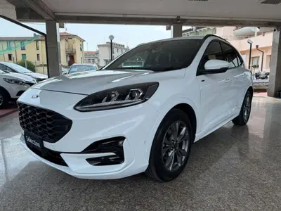 Ford Kuga 1.5 EcoBlue 120 CV aut. 2WD ST-Line X Design del 2023 usata a Desenzano del Garda