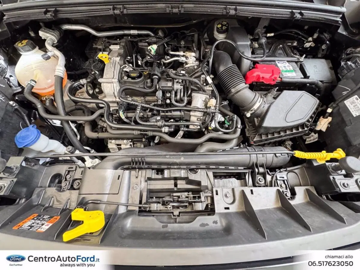 Ford Puma usata a Roma (11)