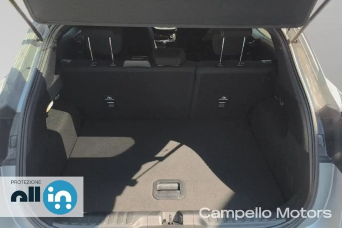 Ford Puma usata a Venezia (18)