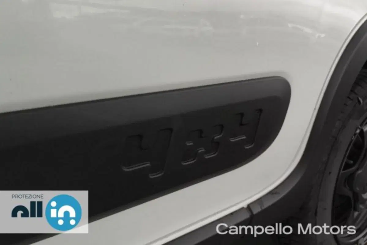 Fiat Panda usata a Venezia (16)