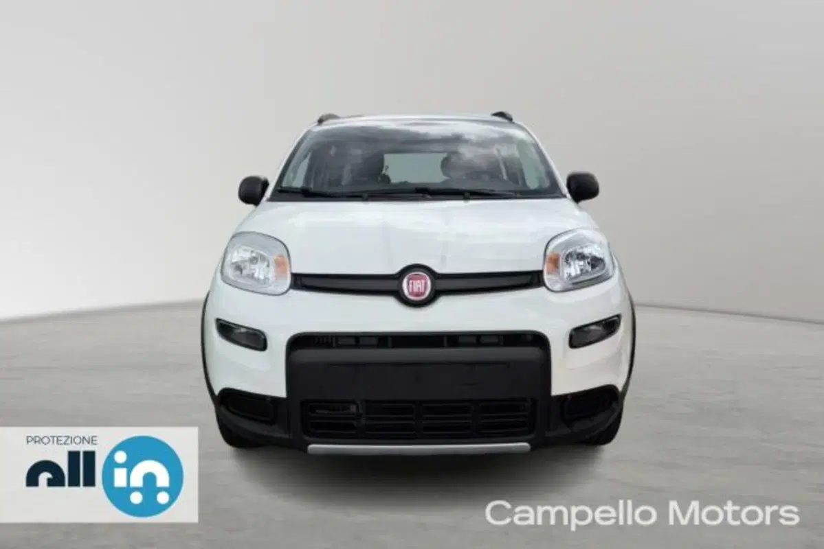 Fiat Panda usata a Venezia (2)