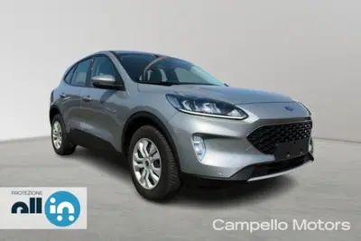Ford Kuga 1.5 EcoBoost 150 CV 2WD ST-Line del 2024 usata a Venezia