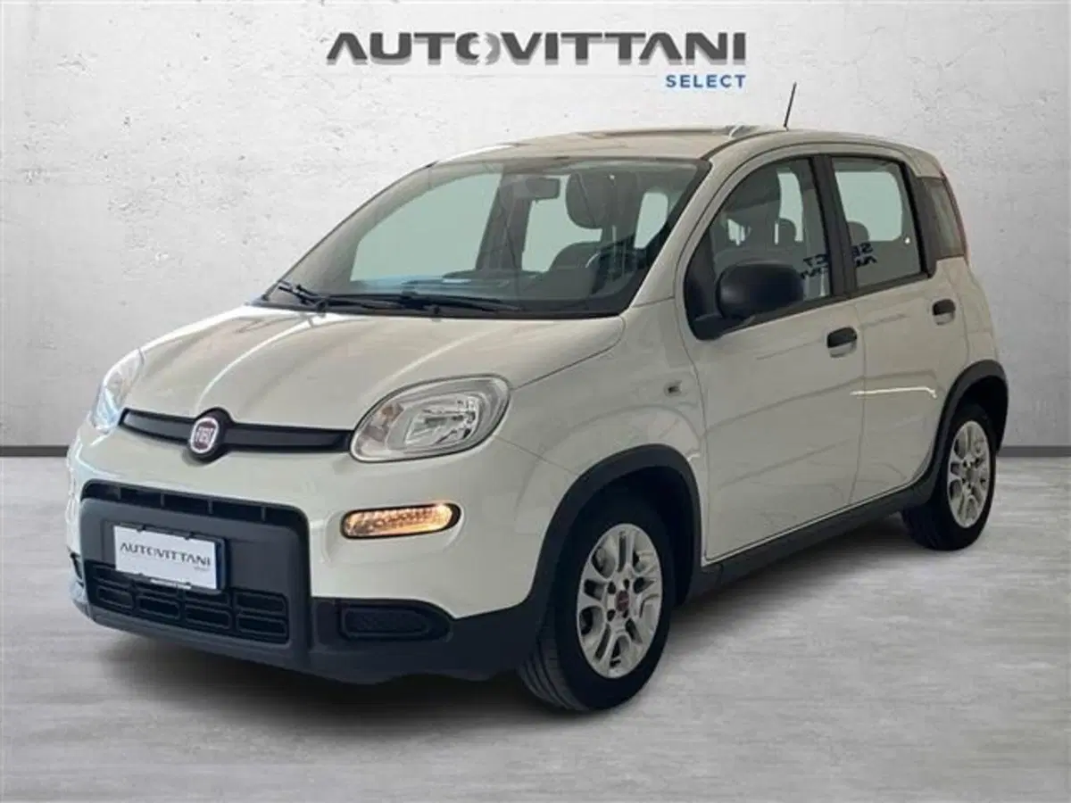 Fiat Panda usata a Como