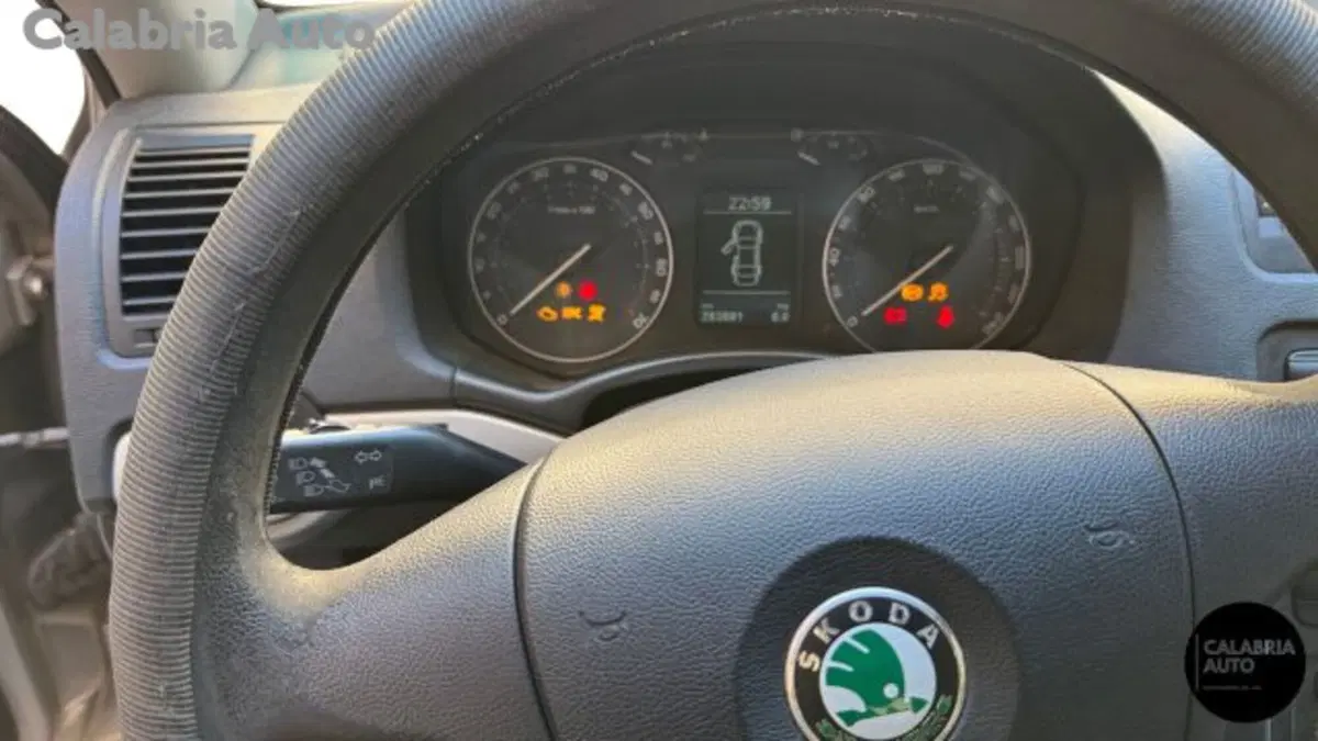 Skoda Octavia Station Wagon usata a Reggio Calabria (10)