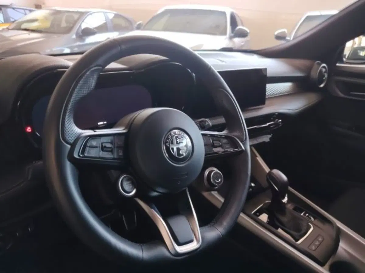 Alfa Romeo Tonale usata a Forlì-Cesena (14)