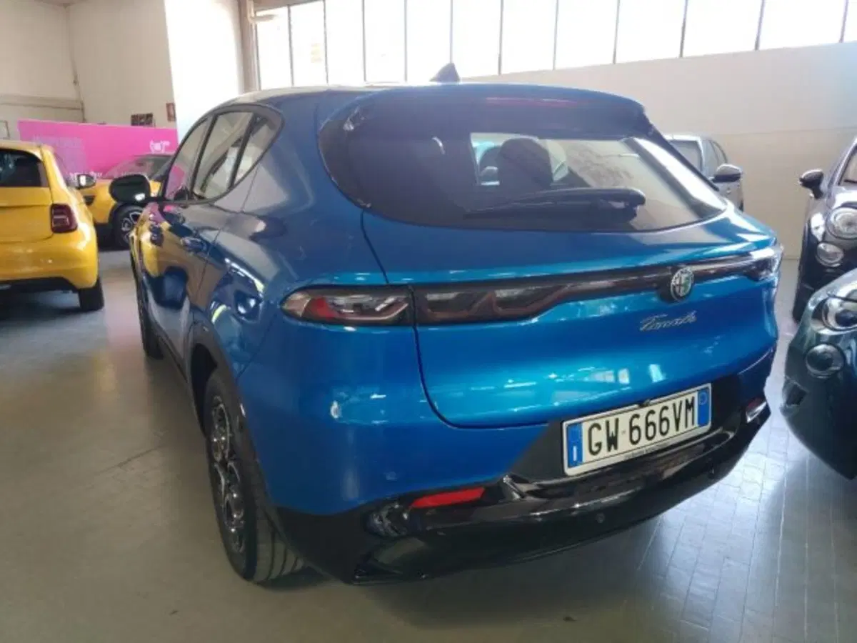 Alfa Romeo Tonale usata a Forlì-Cesena (7)