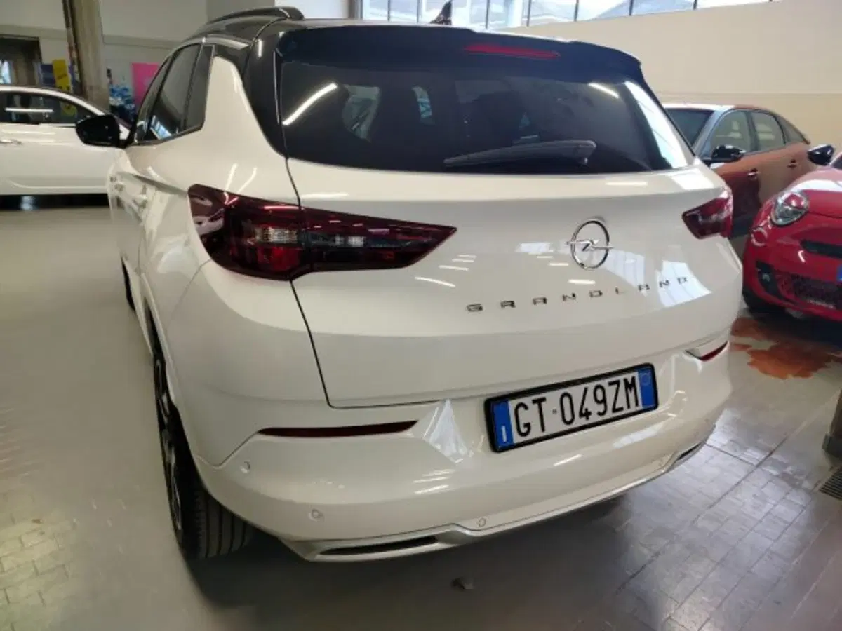 Opel Grandland usata a Forlì-Cesena (11)